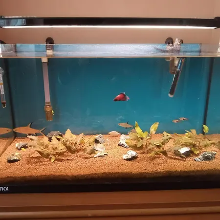 Marina Bay * Villaggio Mosè